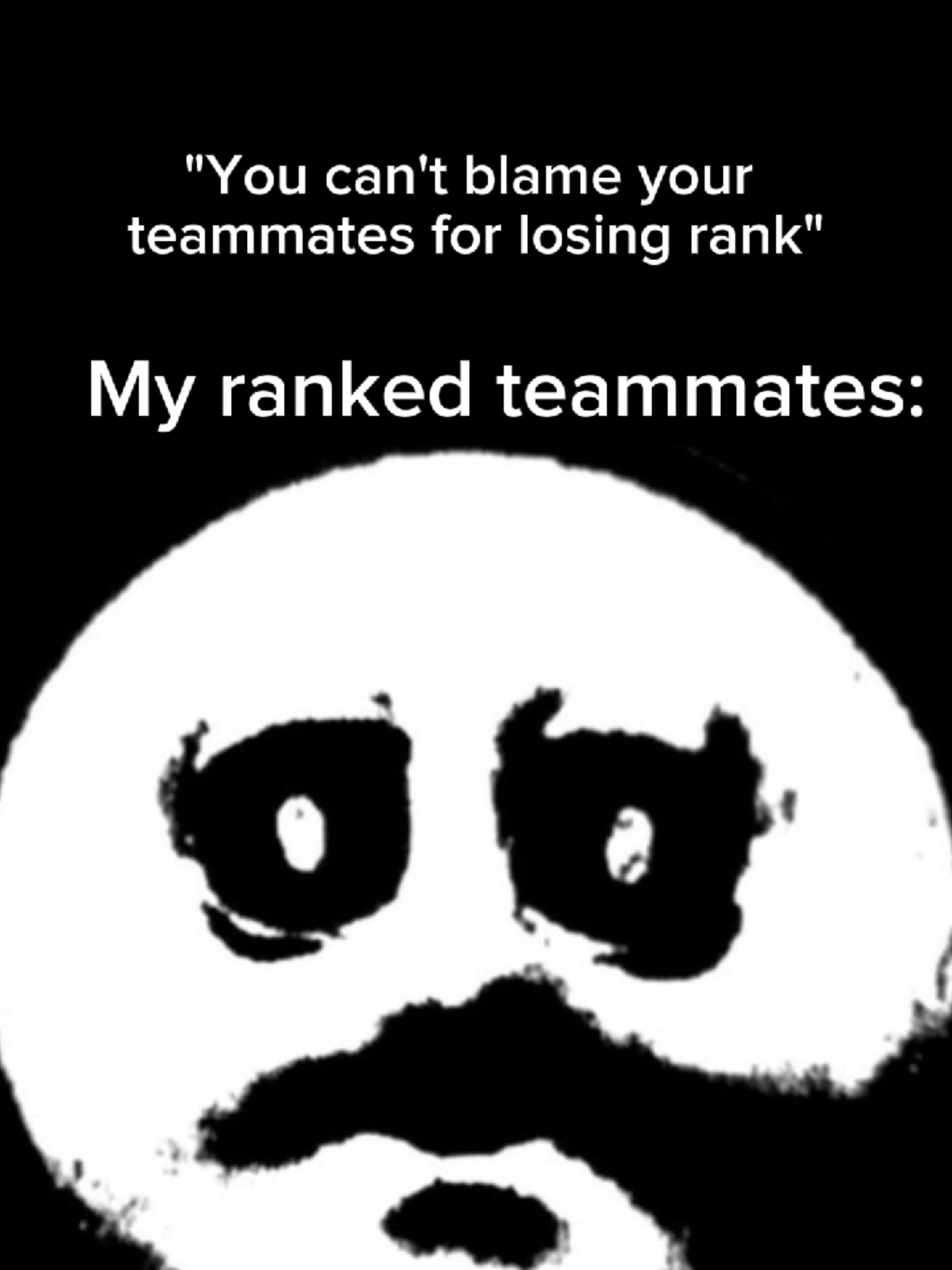 @thelatedevelopers