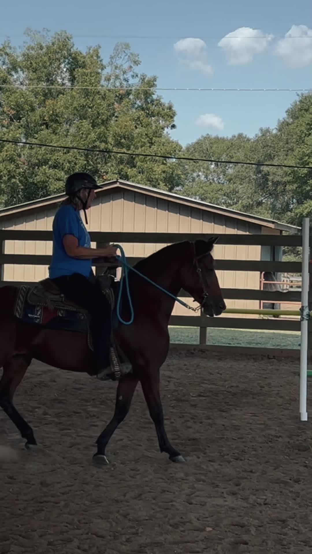 @Horse Help
