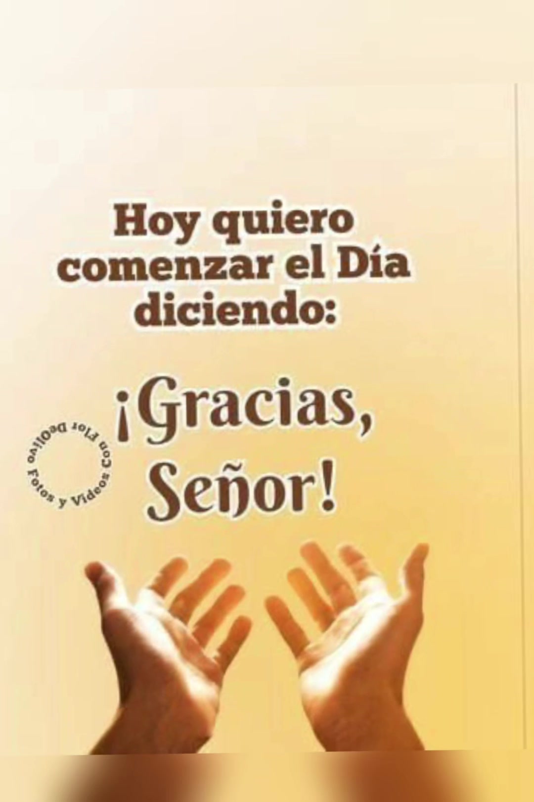 @elvirasvg