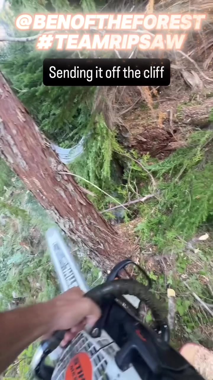 @Ripsaw