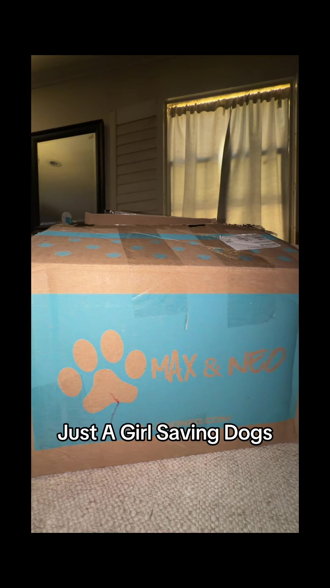 @Just A Girl Saving Dogs