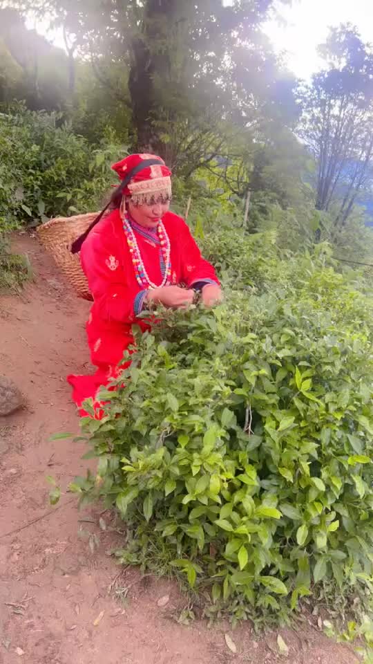 @kgurjeet3