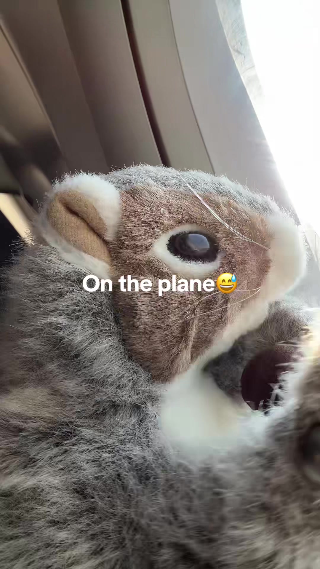 @Apple squirrel