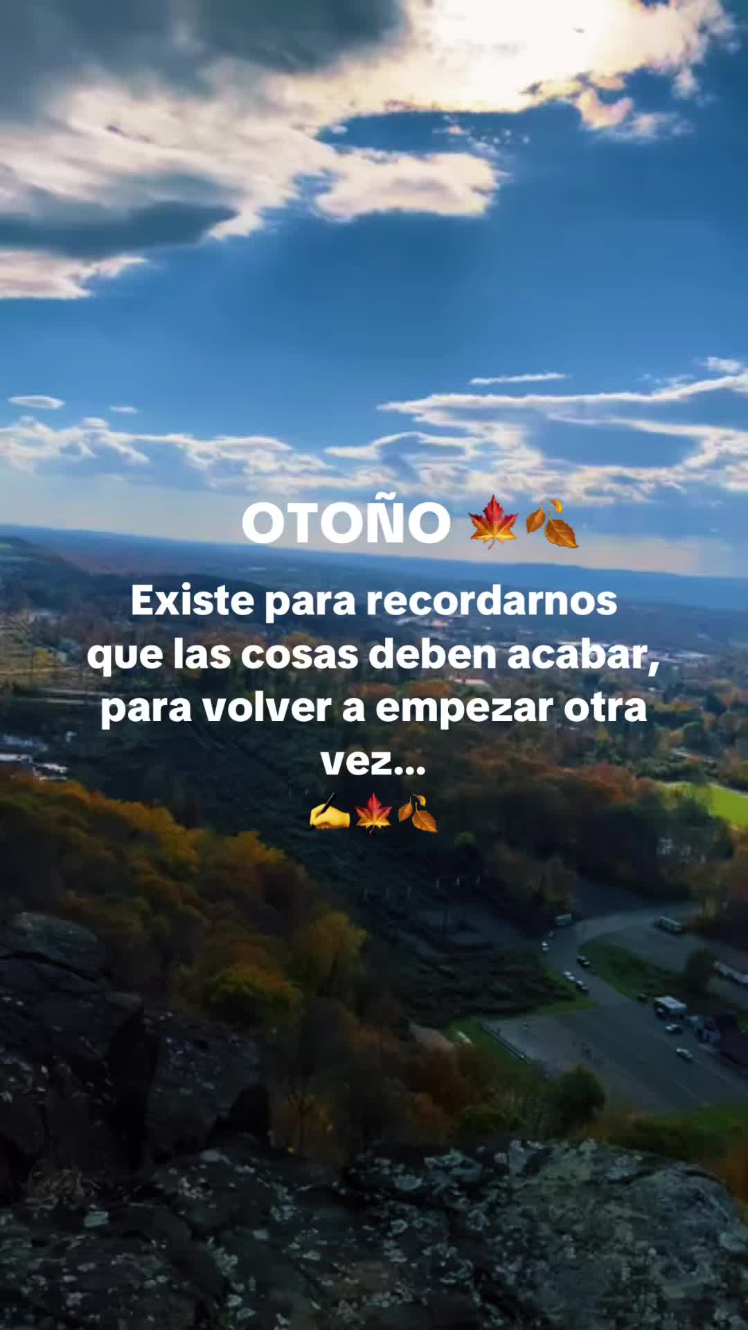 @Liliana Merino