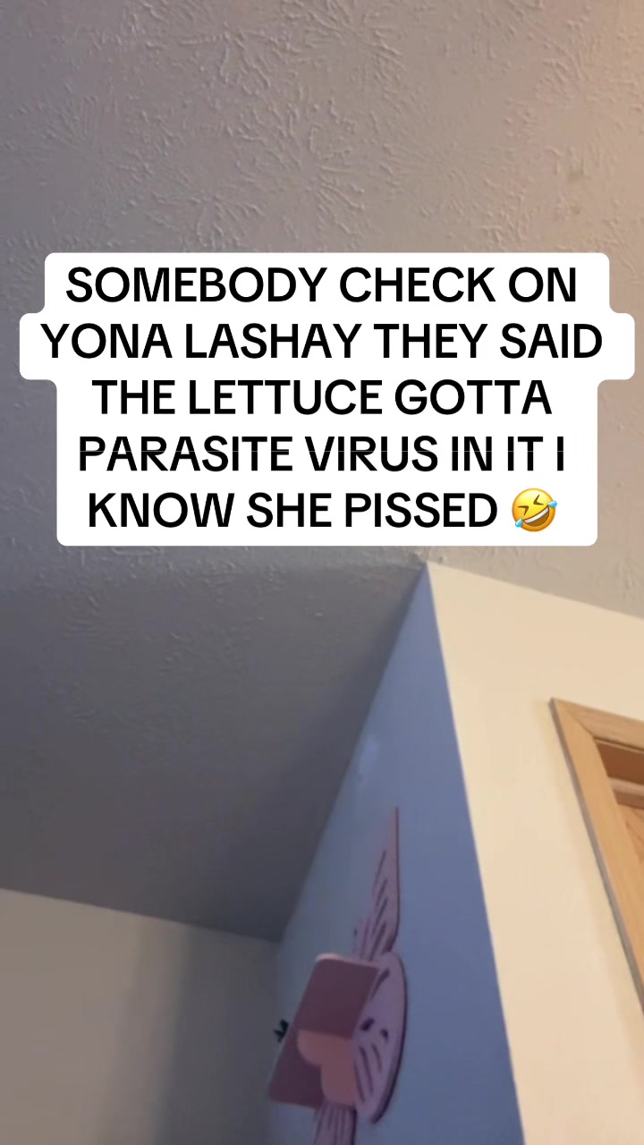@bbwykthevibesho