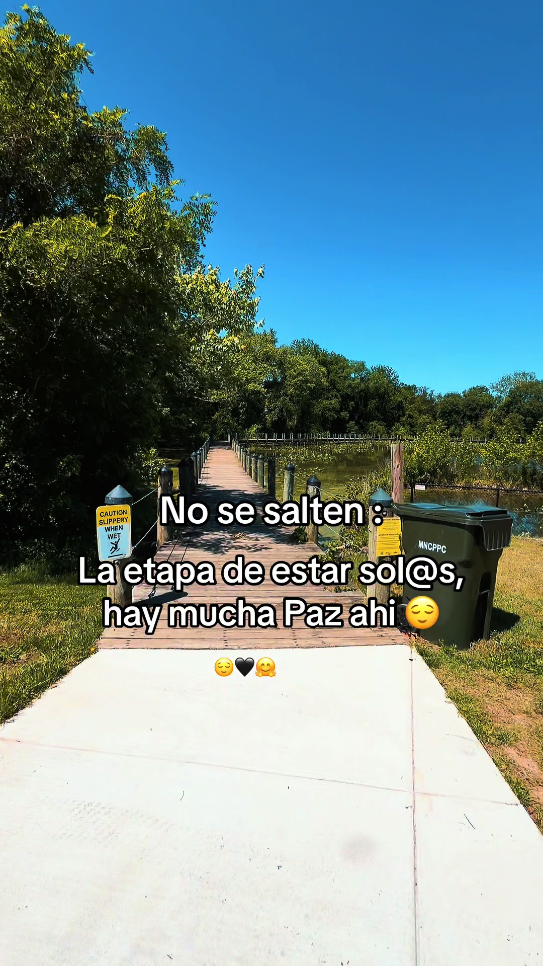 @SulmaR🦋