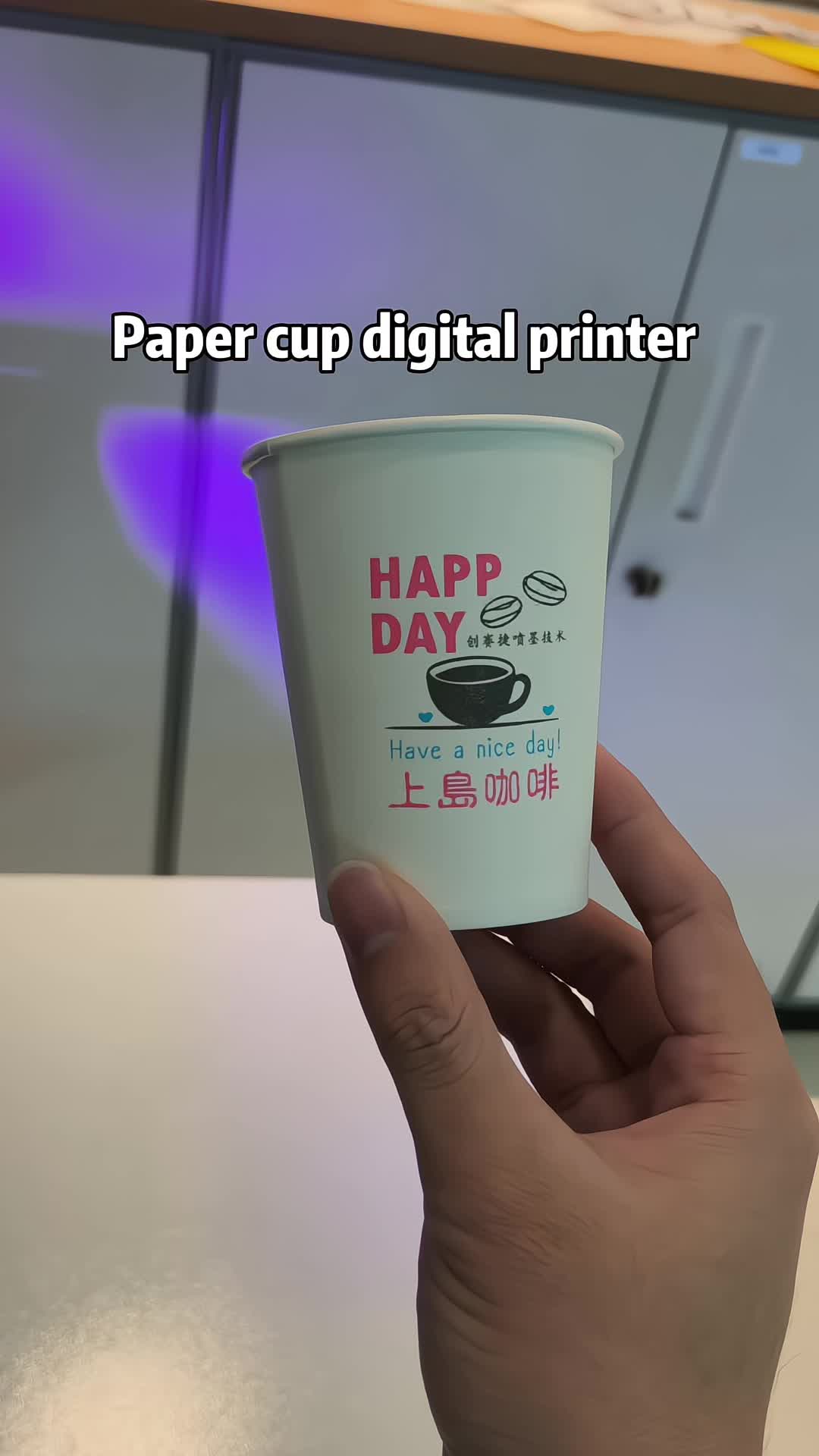 @CSJ digital printer-Eilene
