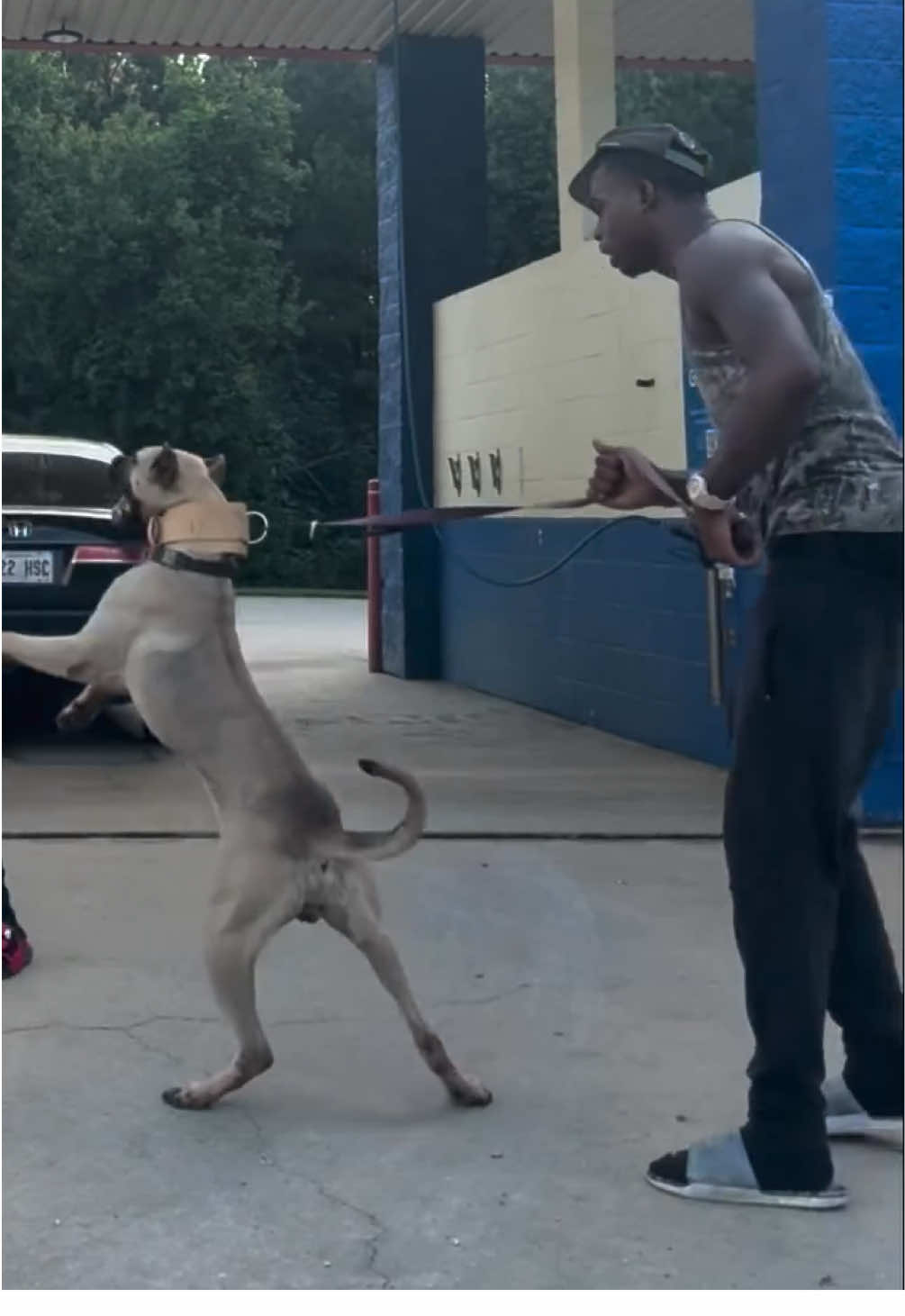 @KVNG KENNELS