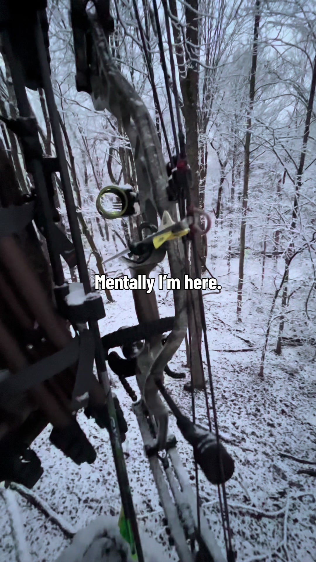 @Mellott Outdoors