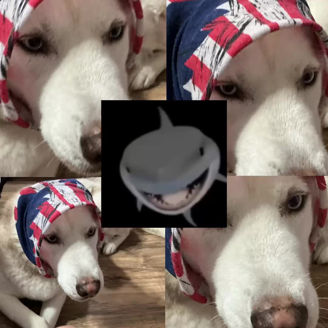 @wspgng12413