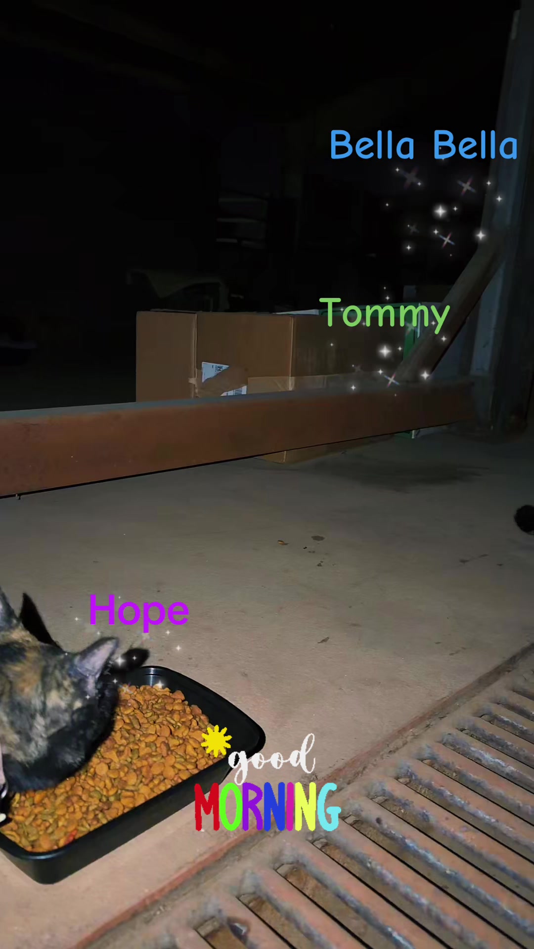 @Amri Gatitos