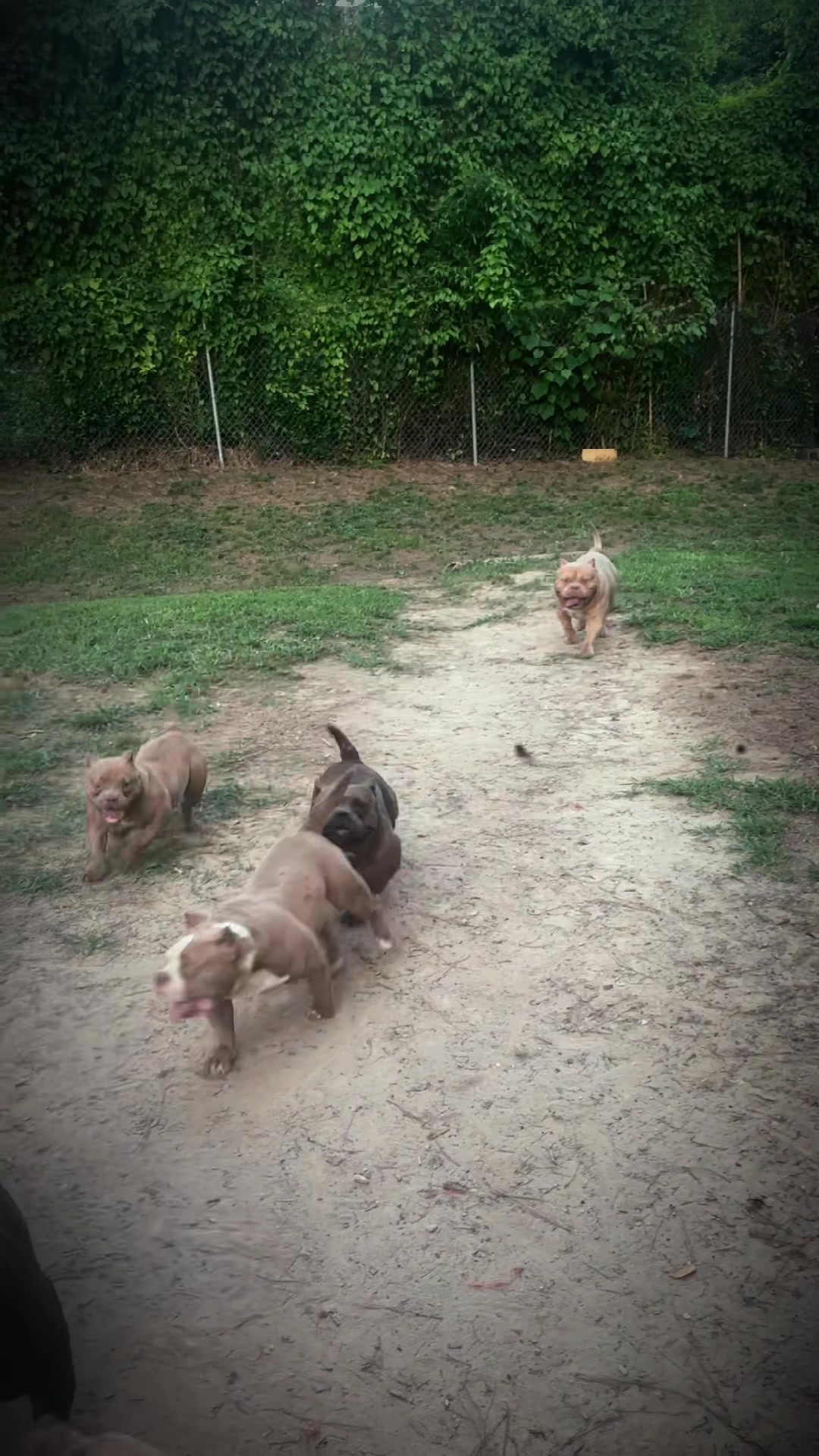 @Carters BullyHub