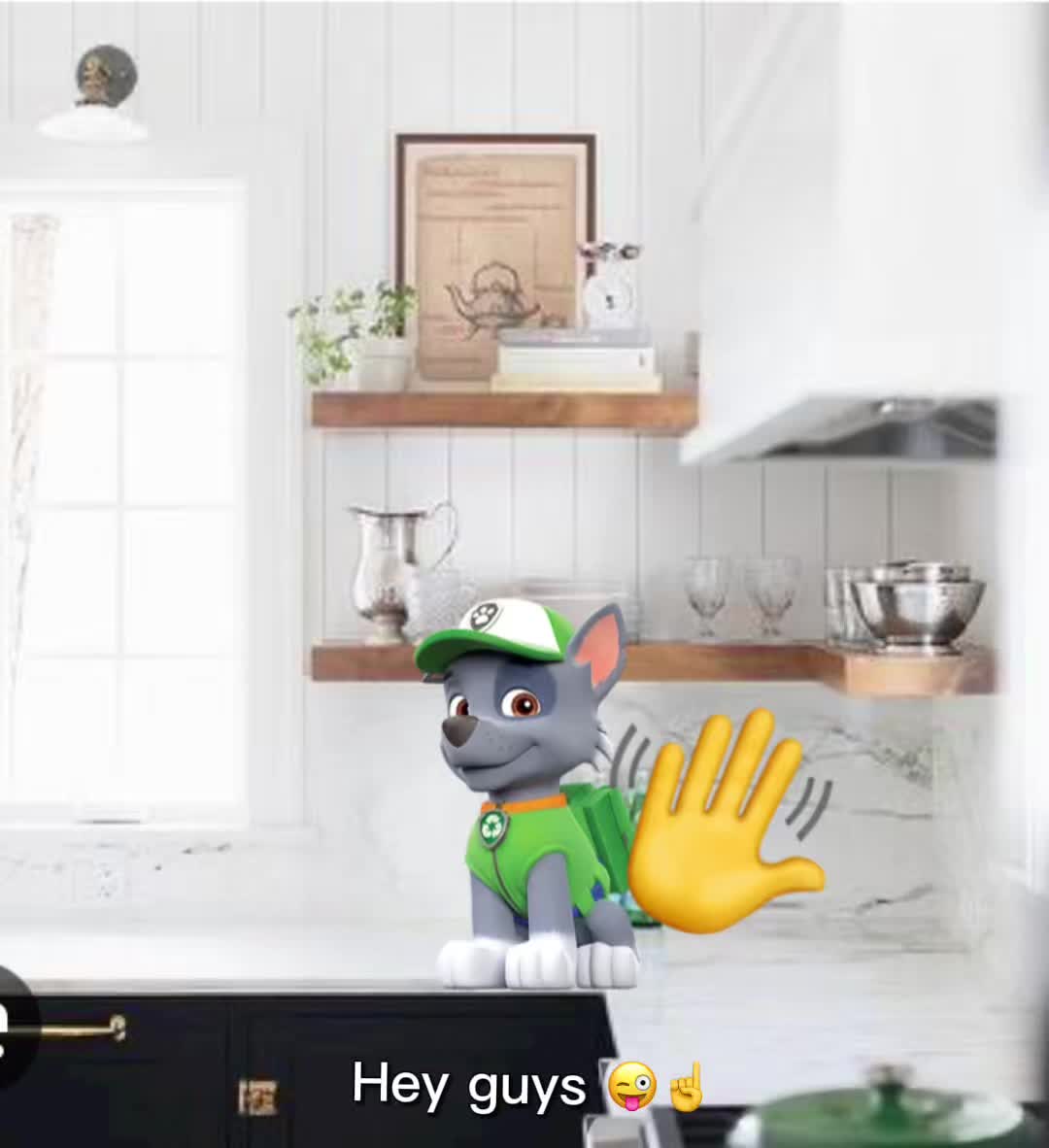 @rockyZumaFurry PAWsome toys!
