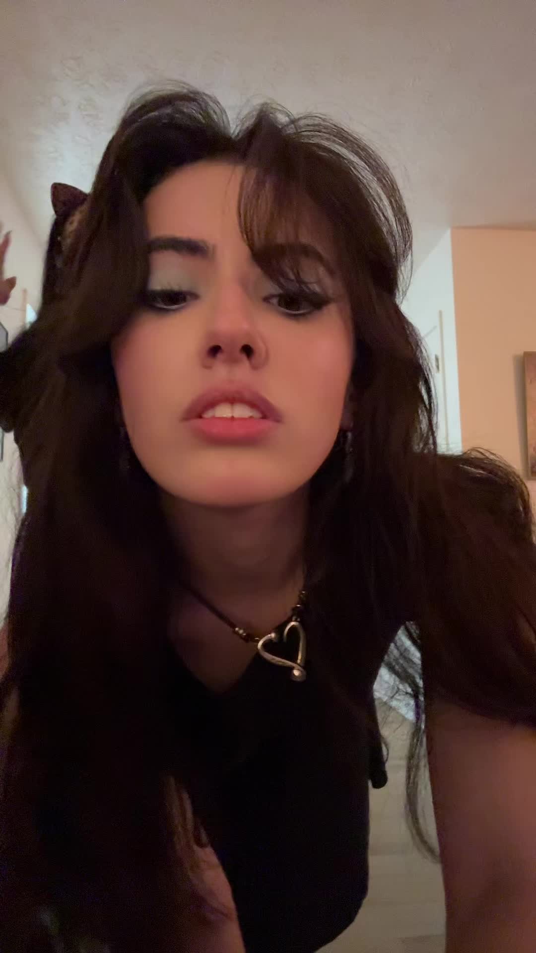 @meow