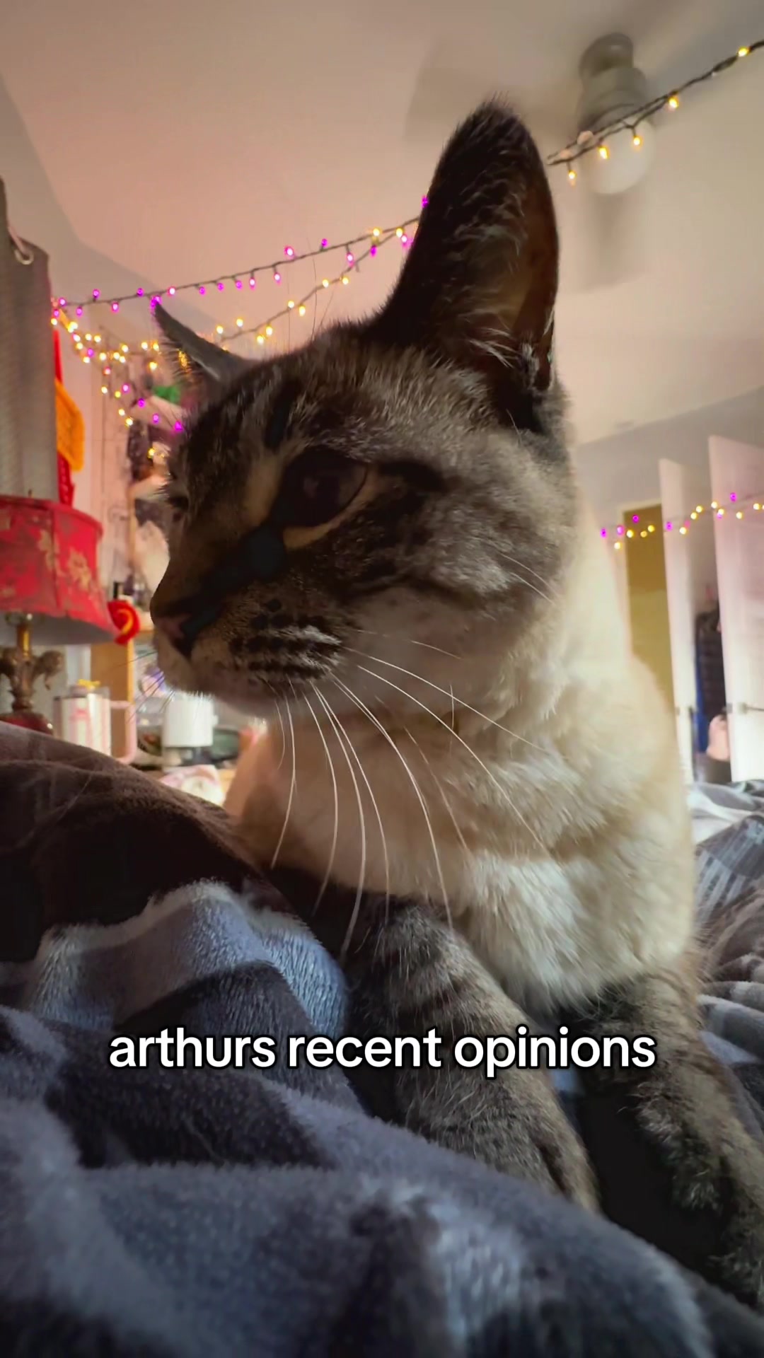 @Artuzz