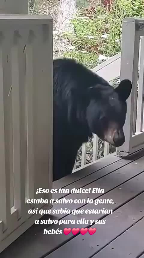 @Roxana Nunez