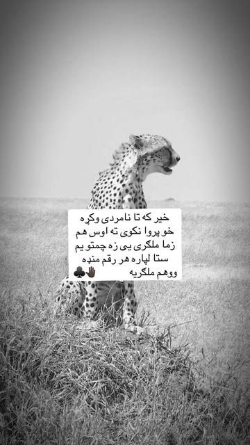 @🥷🏿کــــپــــچــــه🥷🏿