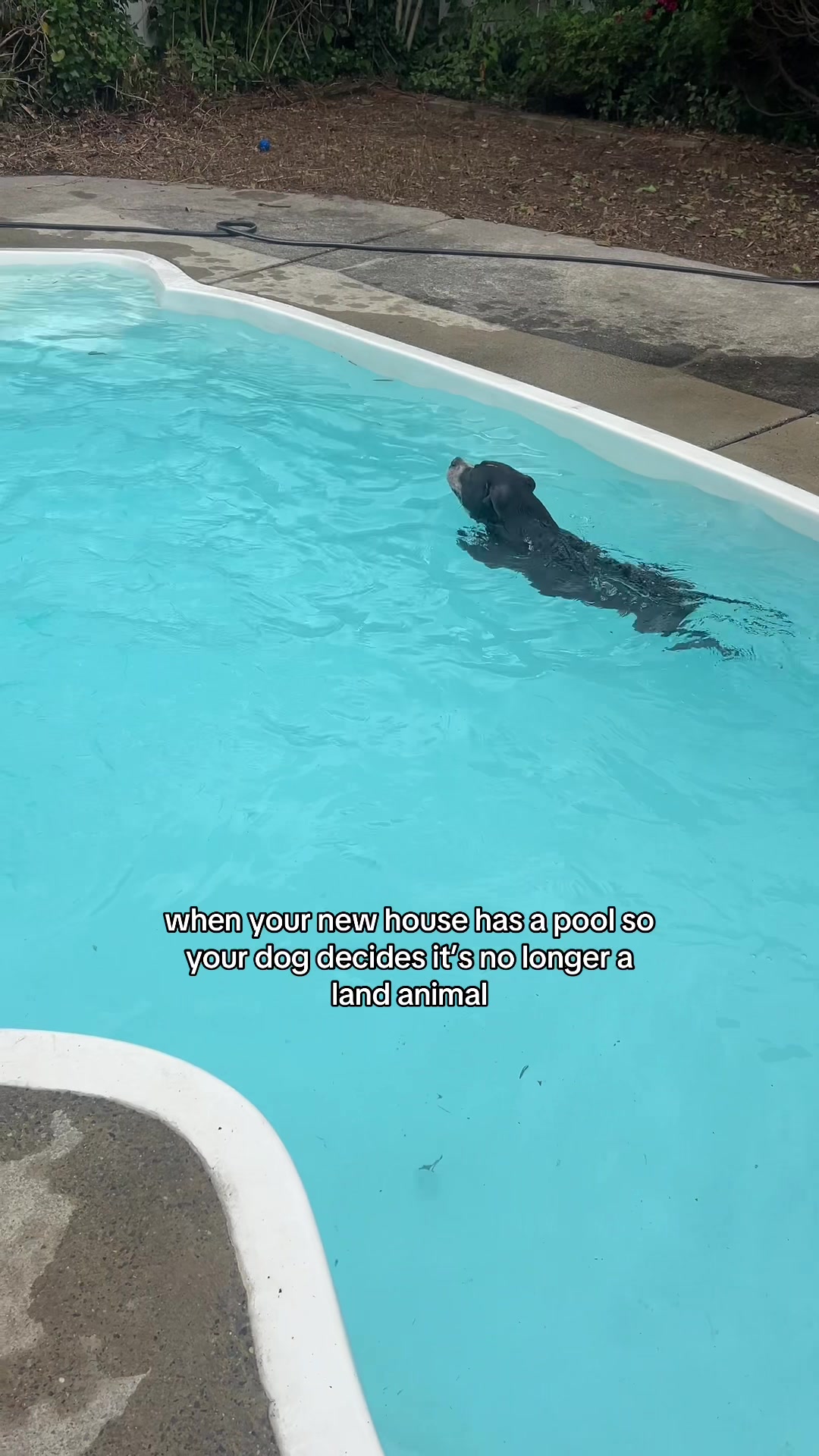 @Alix Macolino