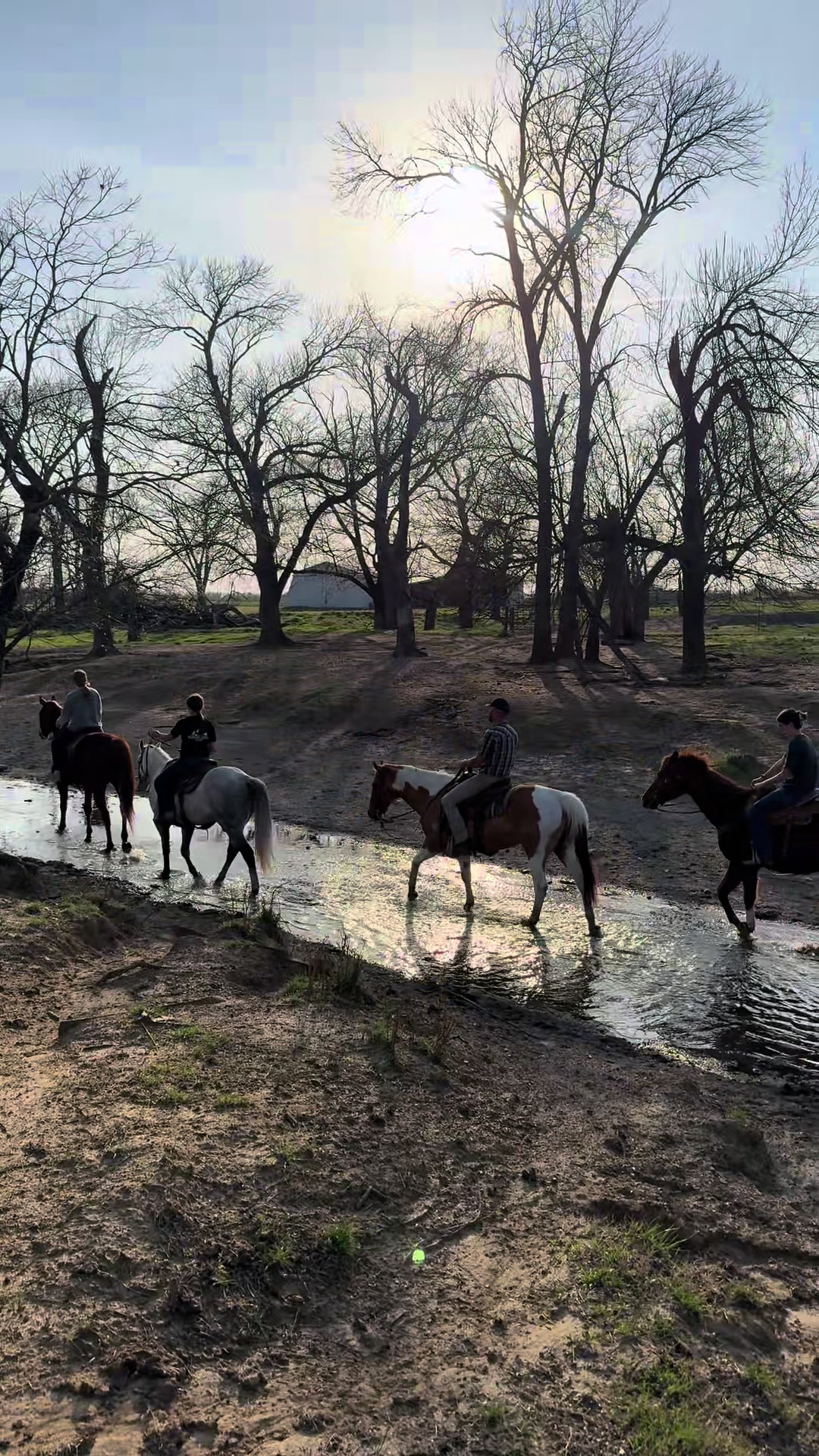 @masoncreekranch