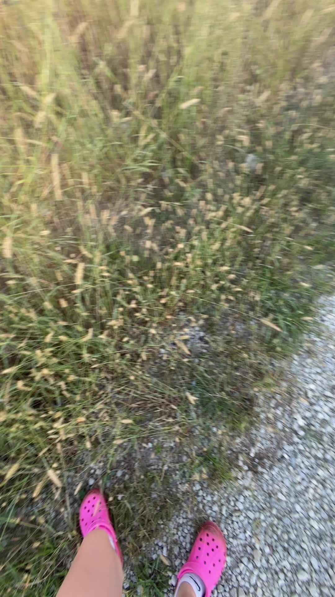 @cantg/_0