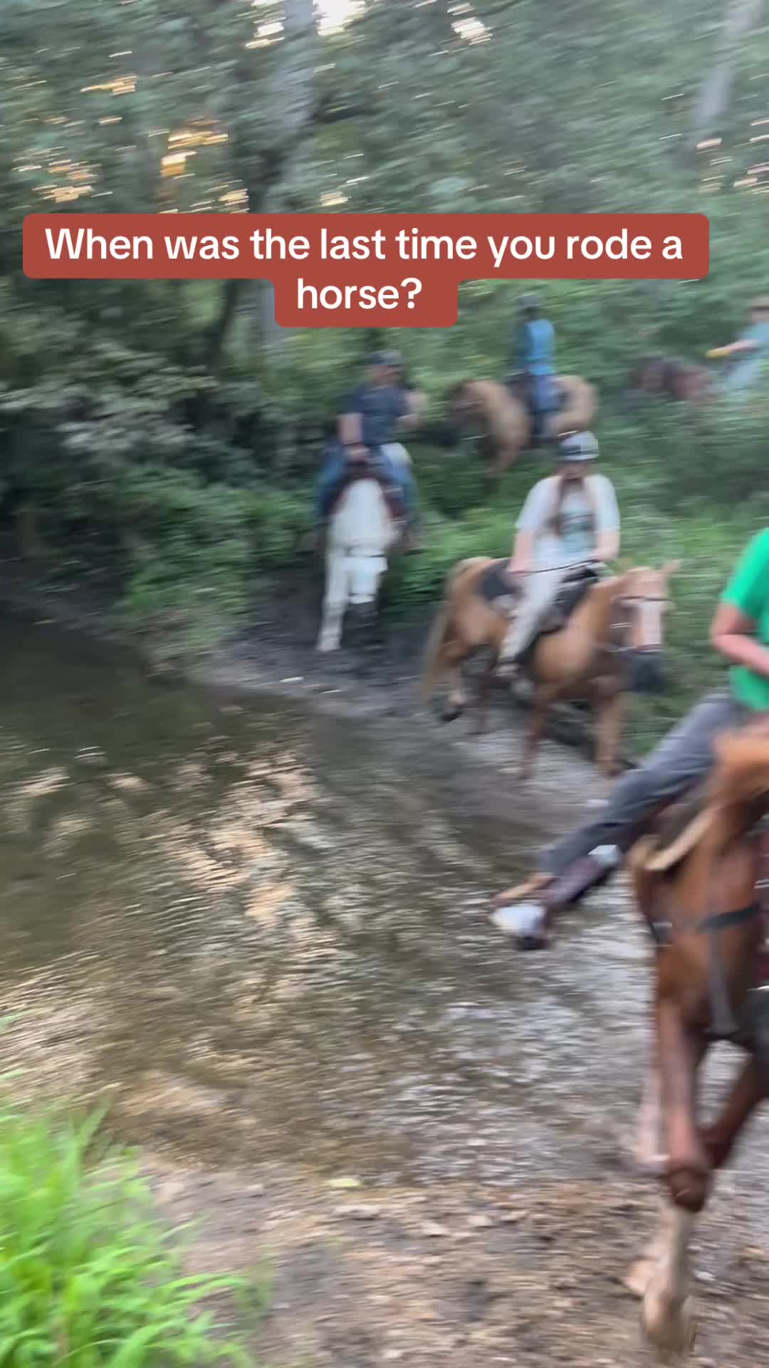 @Millbrook Trail Rides