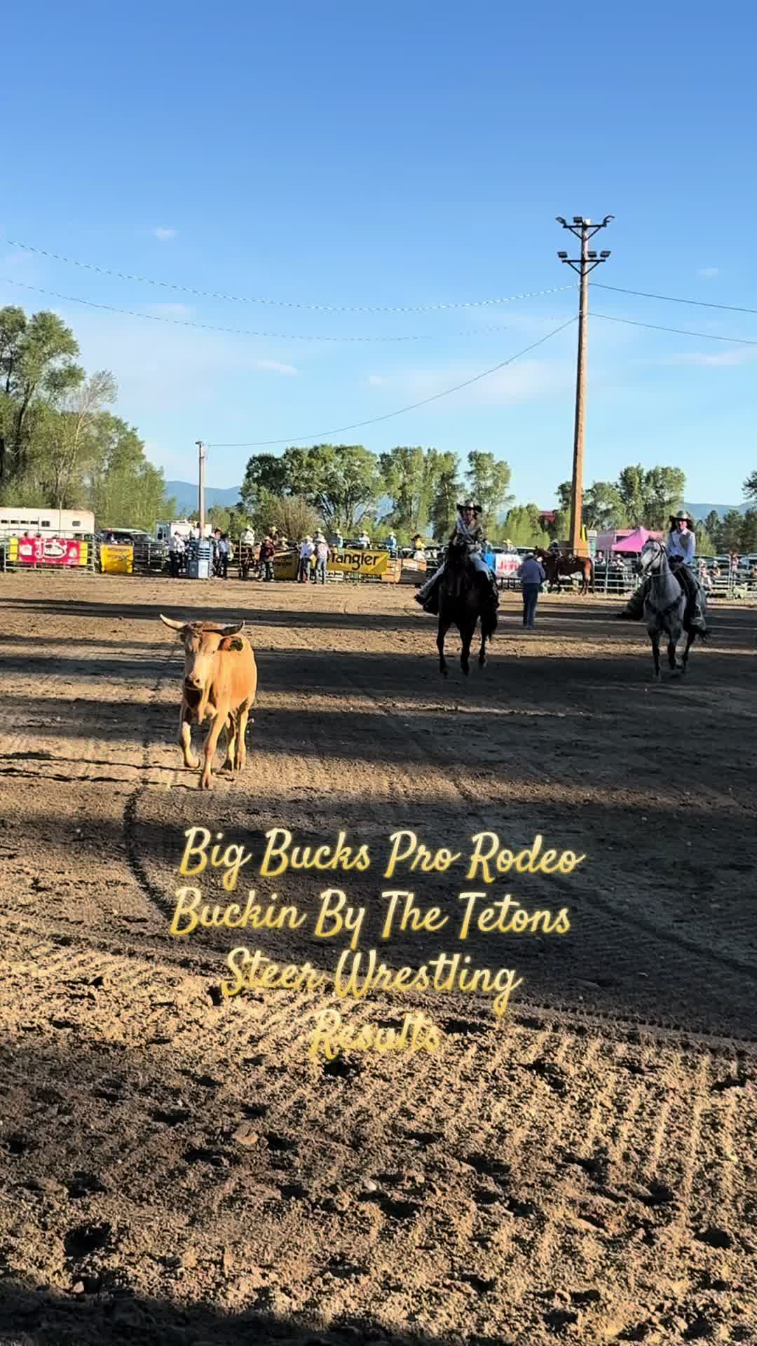 @knoxrodeo