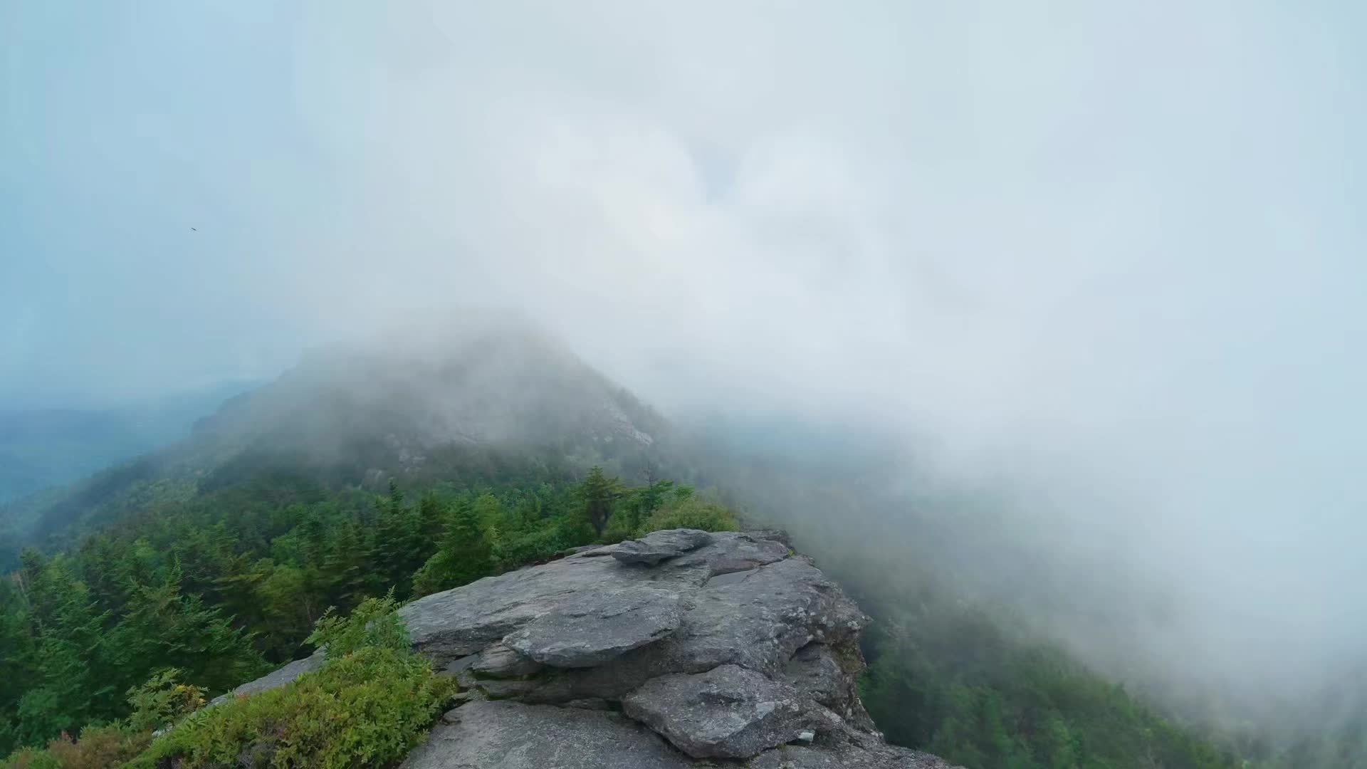 @Nature junkie