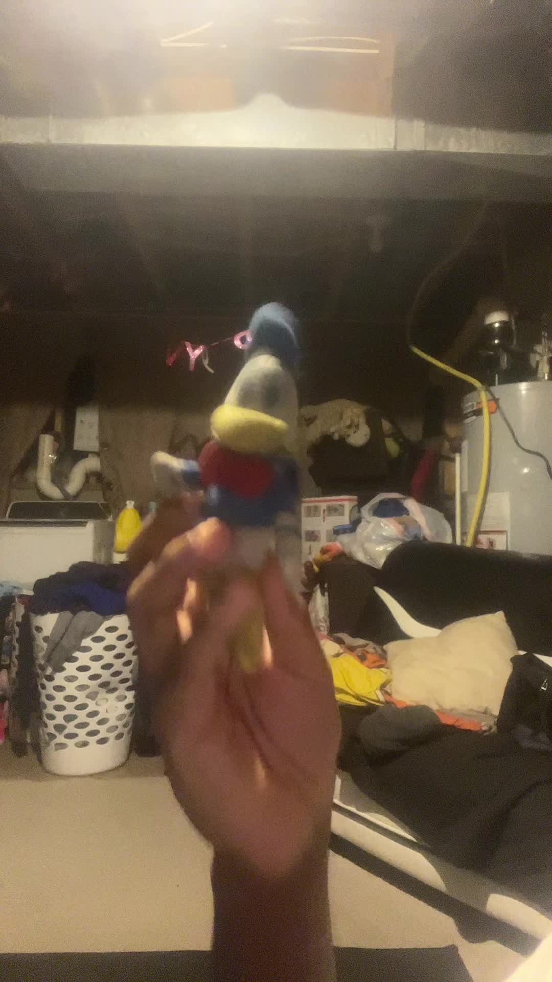 @Donald Duck