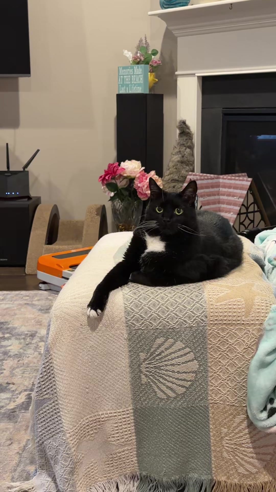 @Gabby Kitty Flynn