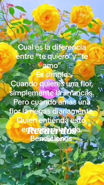 @🐻💫llego el tio
