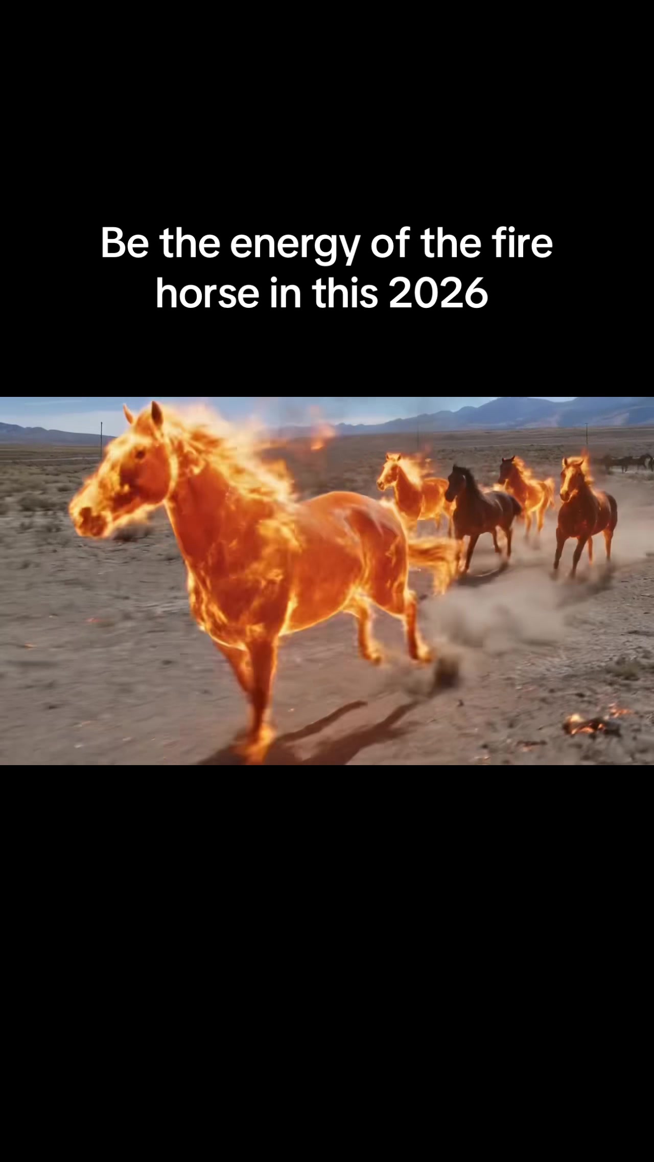 @RewildingAmericaNow