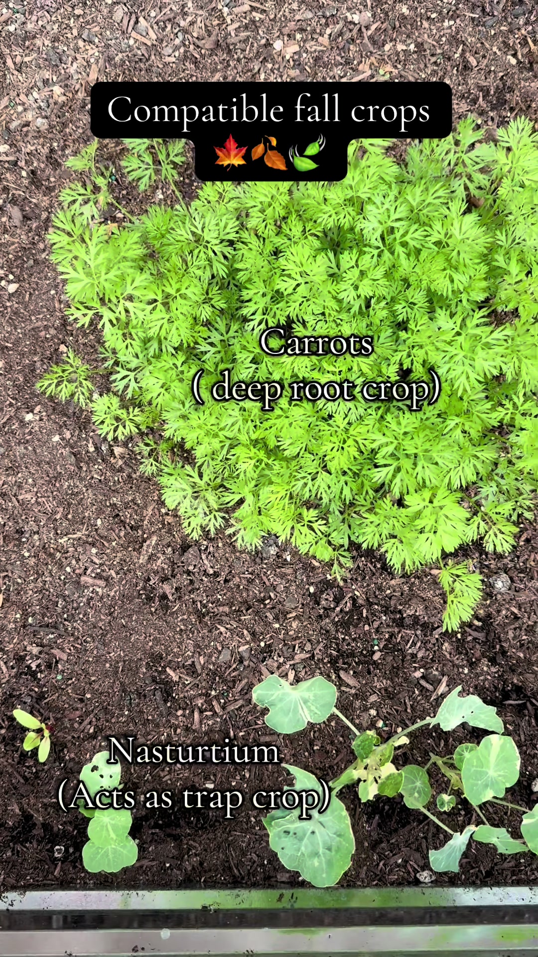 @plantingwithe
