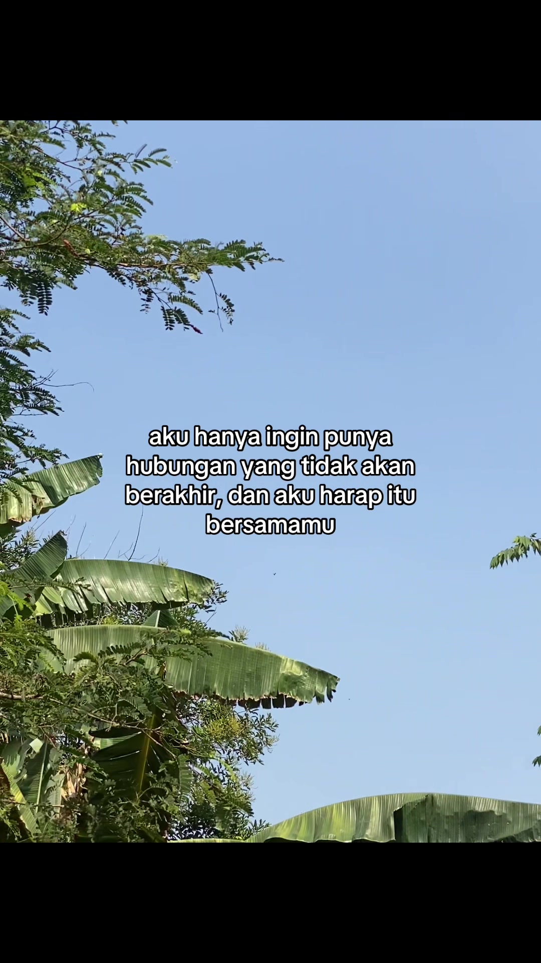 @spl