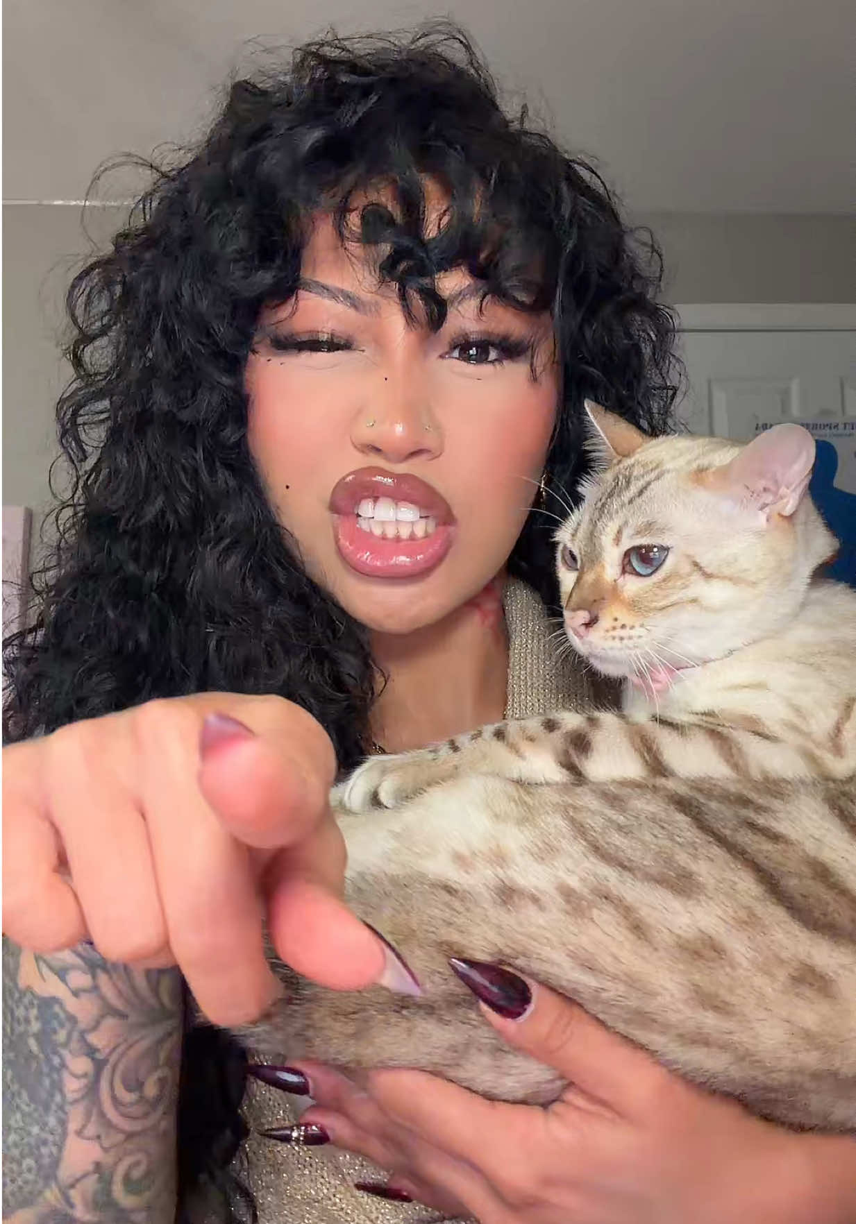 @Mirajane The Bengal🐾