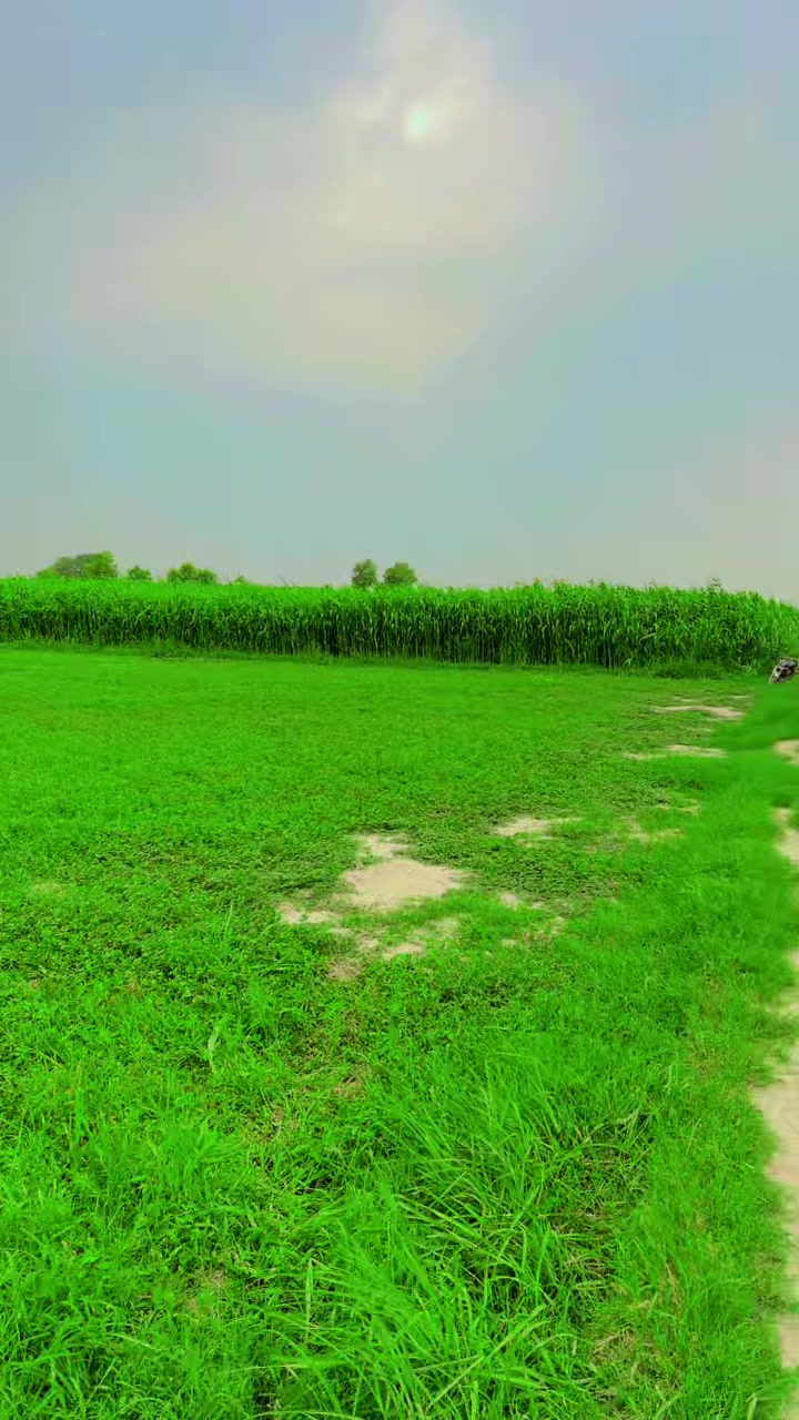 @Gujjar007