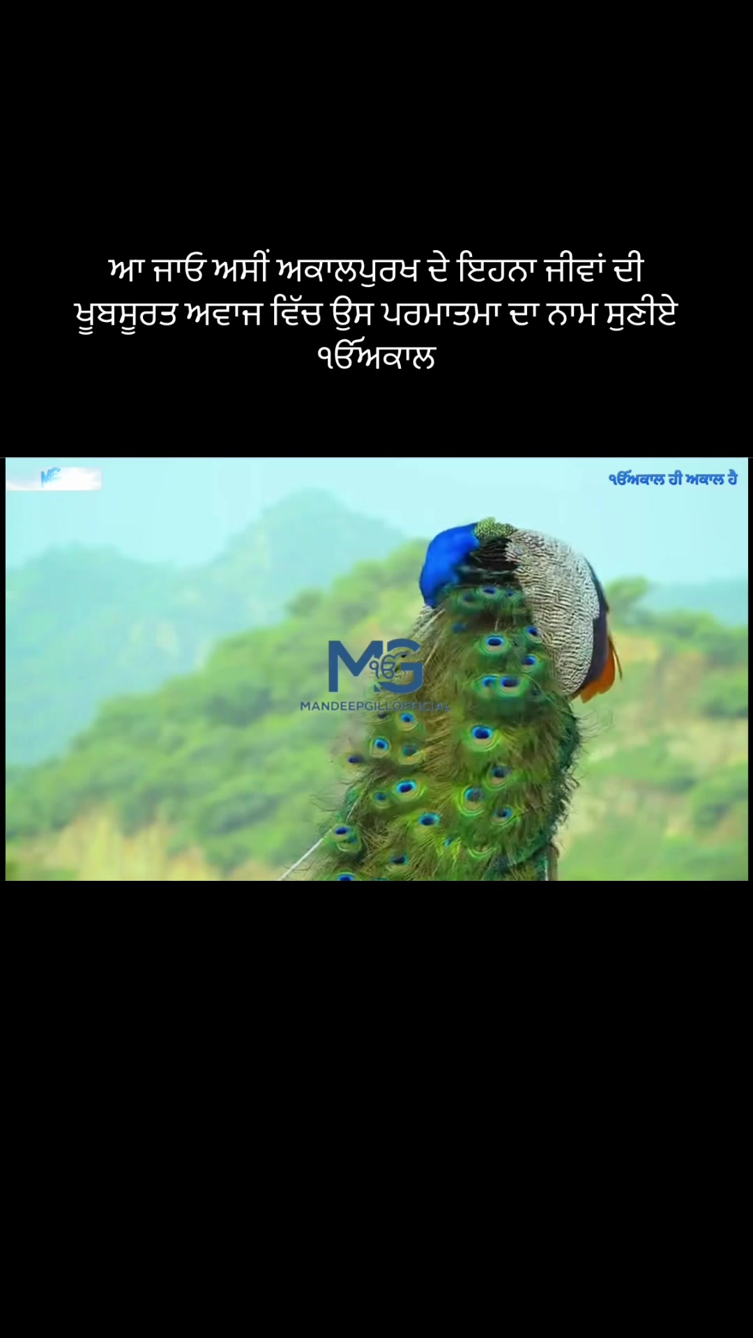 @Mandeep Singh Gill