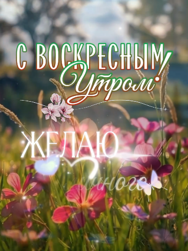 @𝙶𝚊𝚕𝚒𝚗𝚊.𝟷𝟽𝟺