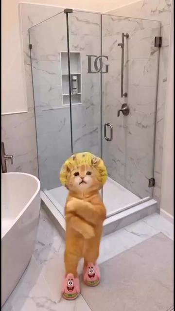@catma639