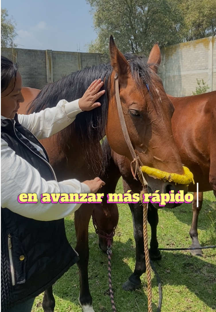 @Shaktali Energia del Corazón💕