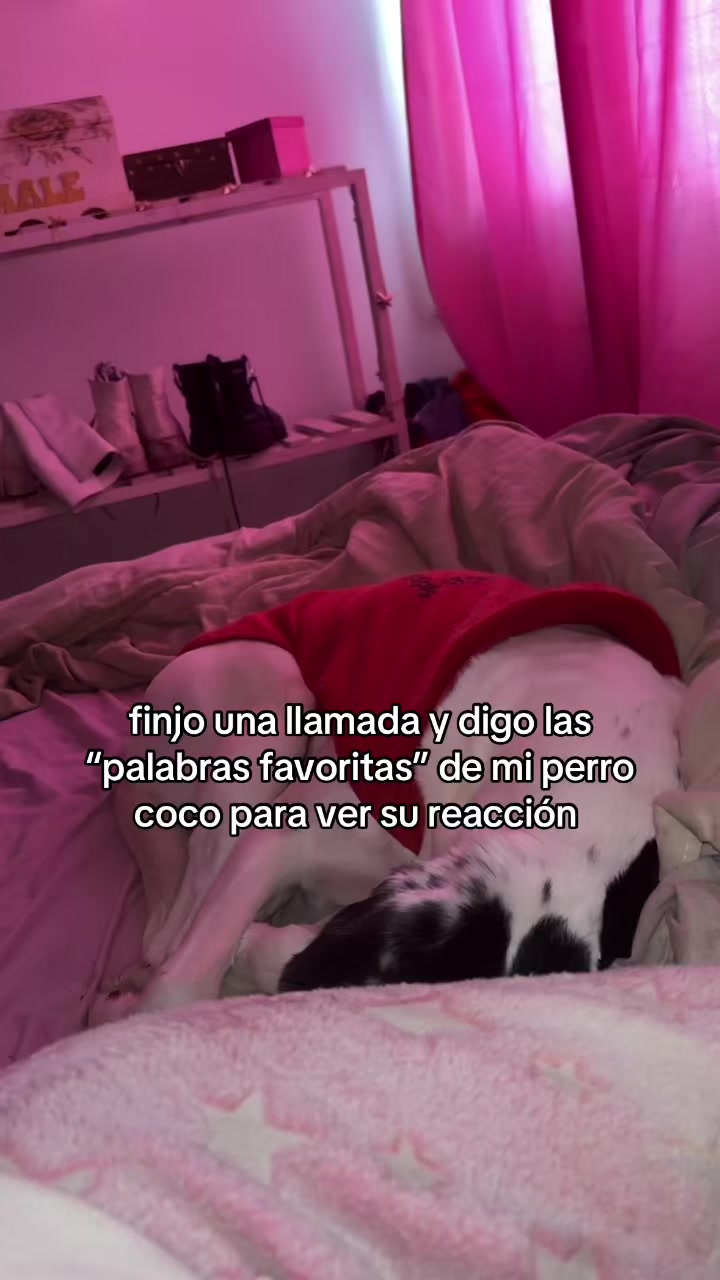 @Male Ricagno