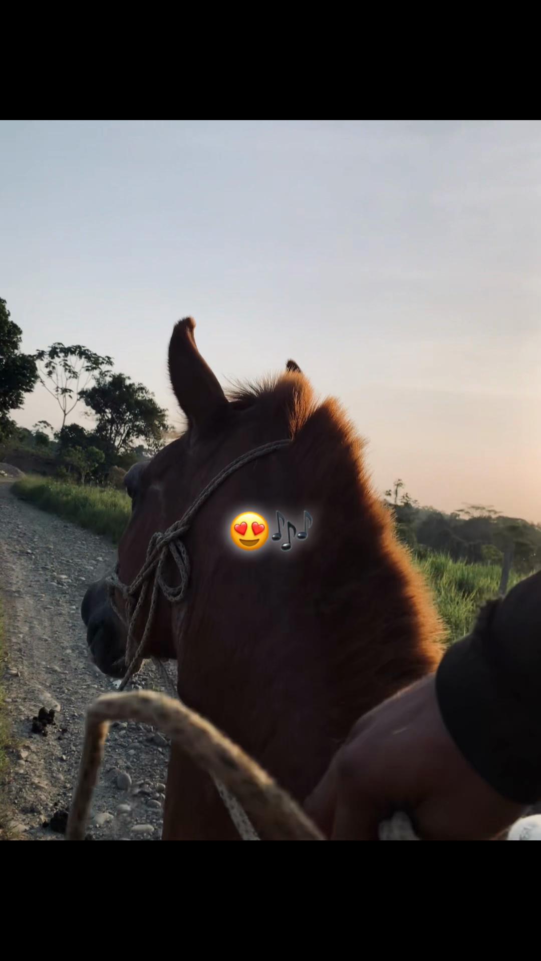 @Jhostin 𖠌𖠌