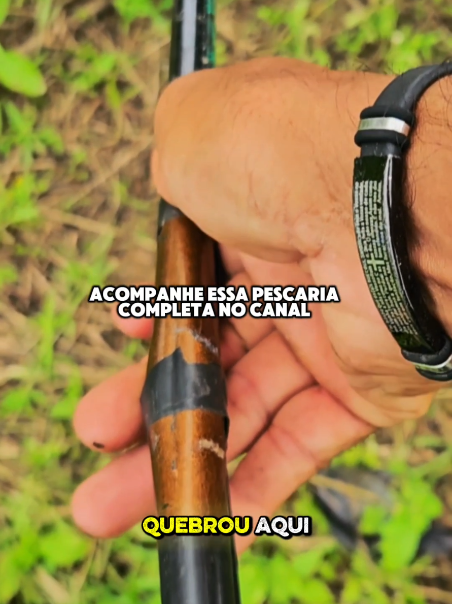 @Max Pescador 🎣