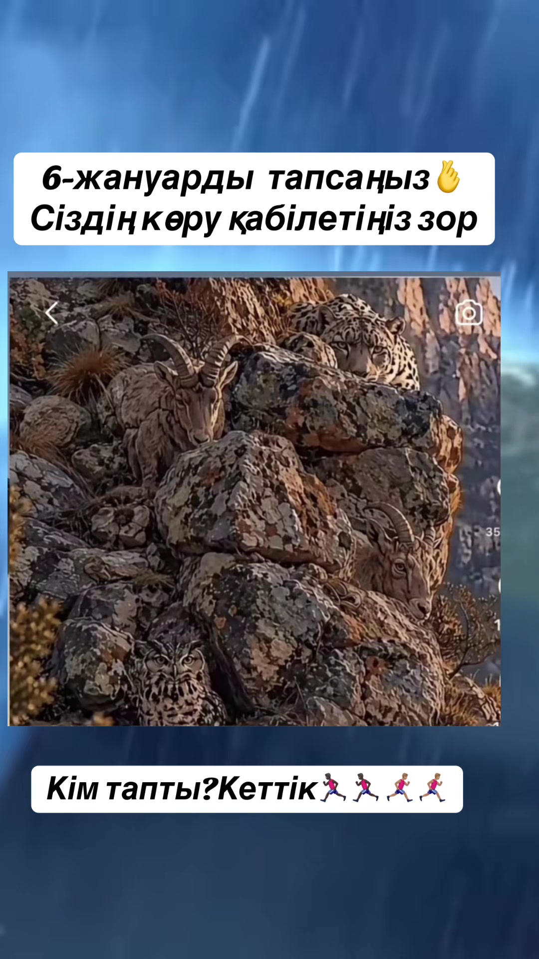 @Р.И.М