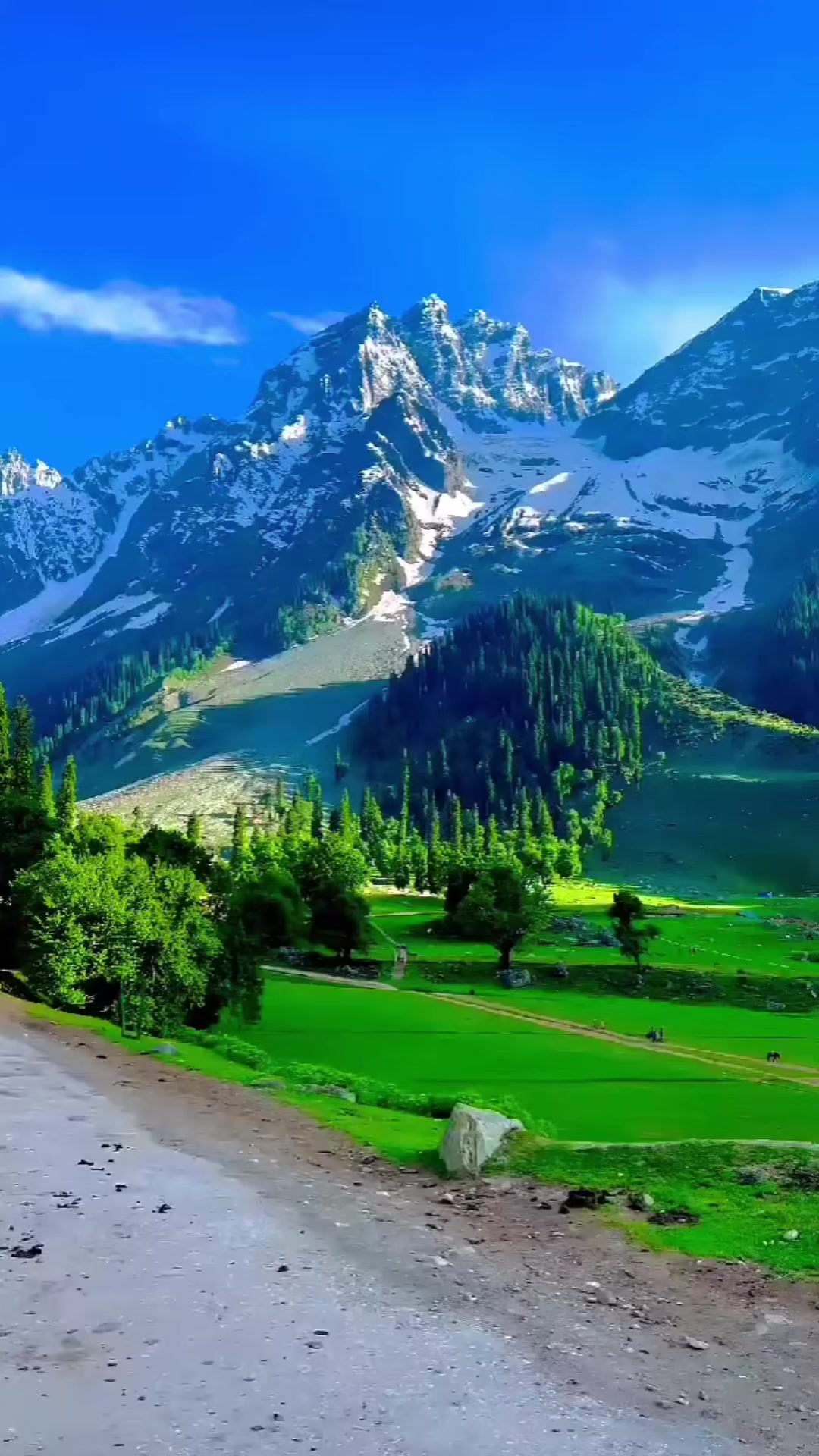 @Dilruba Islam