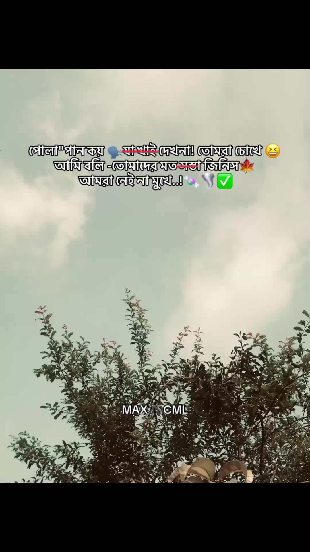 @MAX 🕷️ CML
