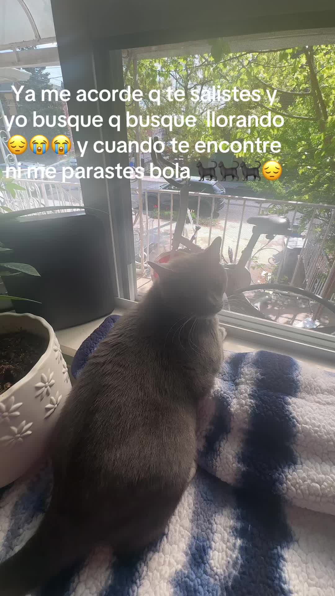 @🍀🧿NEGRA🧿🍀🖤