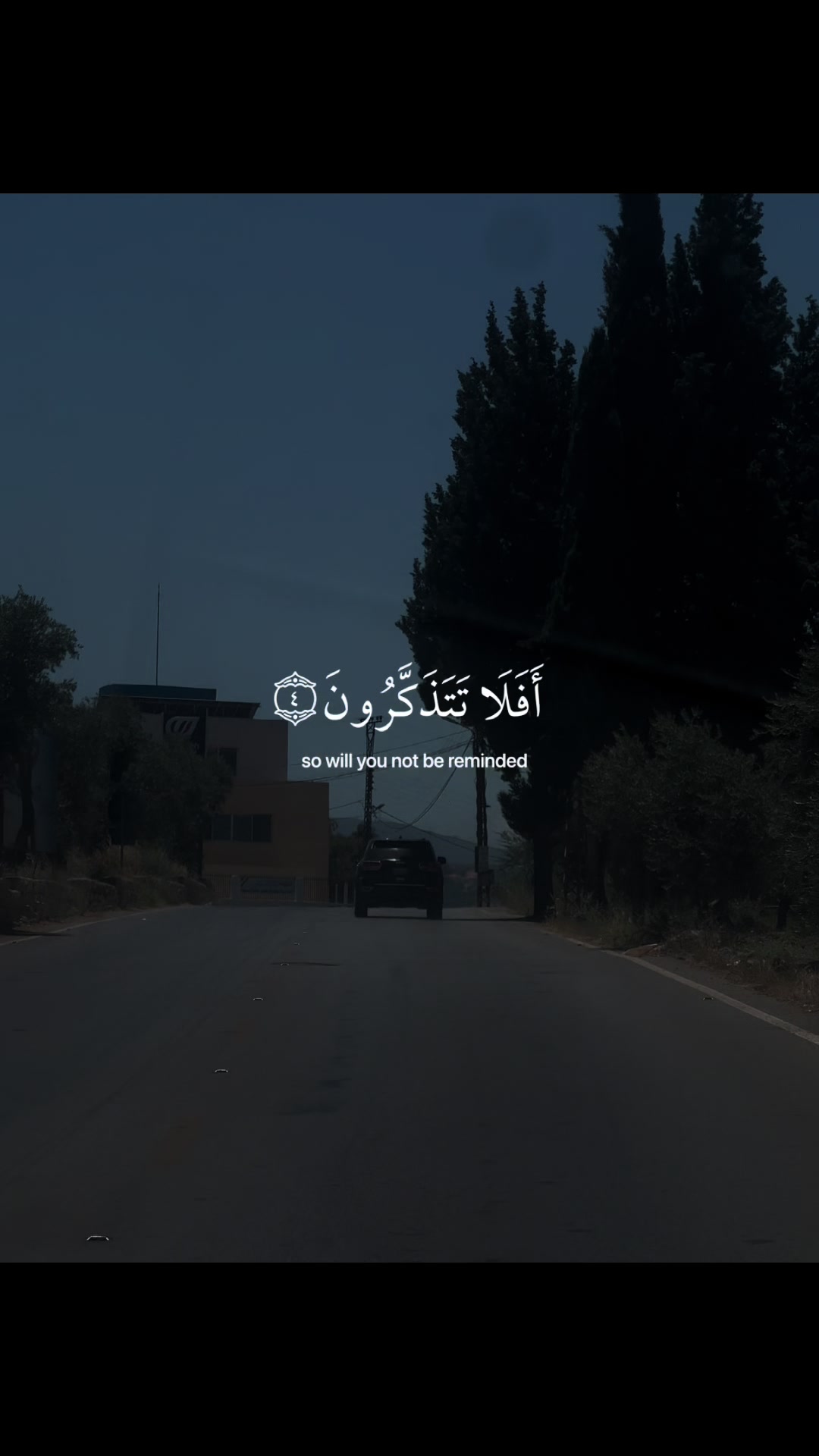 @༊෴✿سہارة✿〄