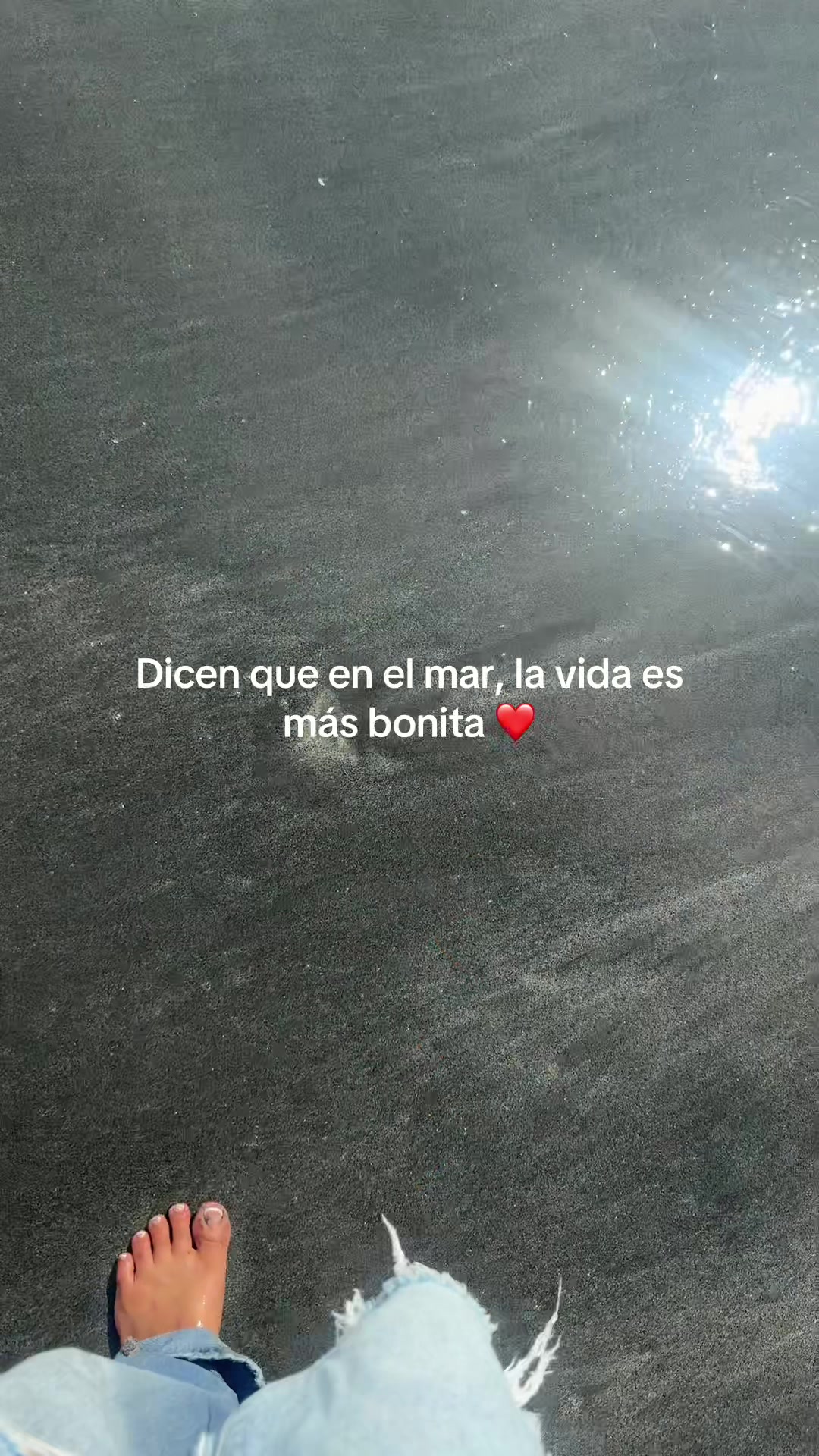 @Greisy 🦋