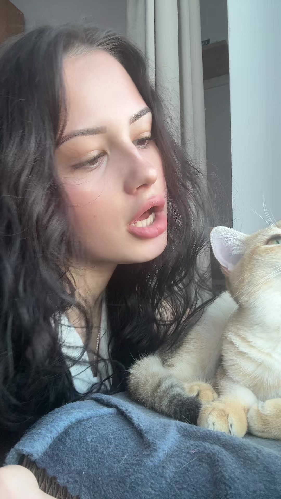 @тгк:крутая кошка
