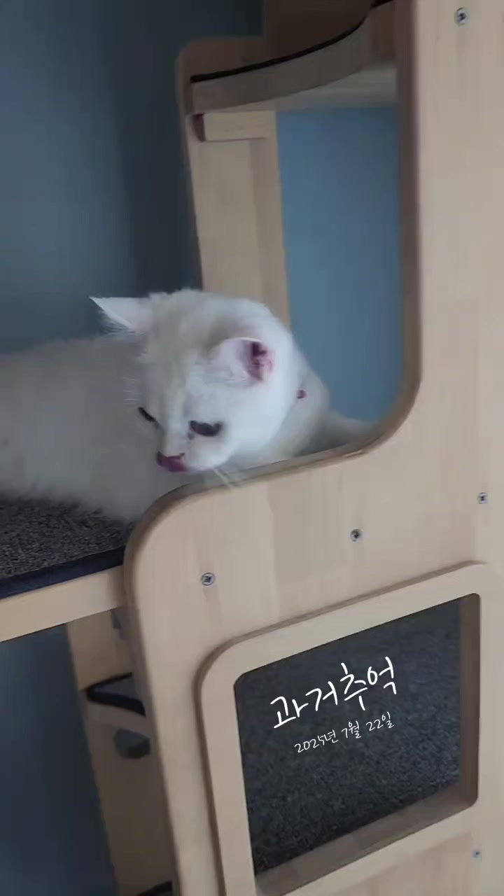 @박씨 거실